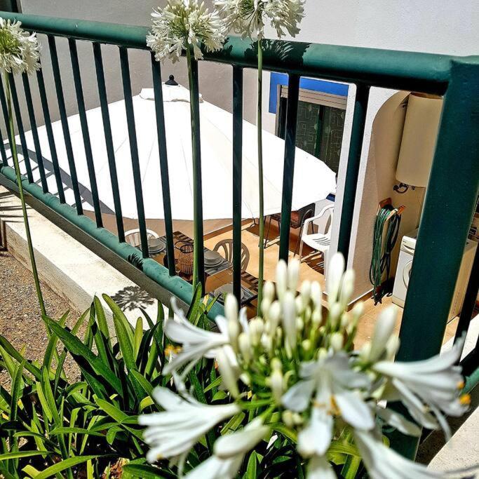 Apartamento Encantador A 100M Da Praia Carvoeiro  Bagian luar foto